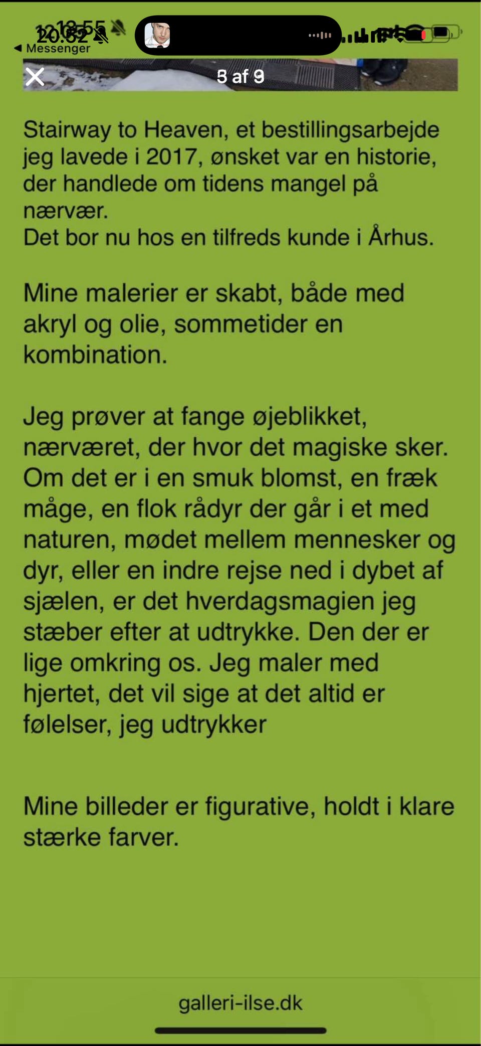 Galleribillede