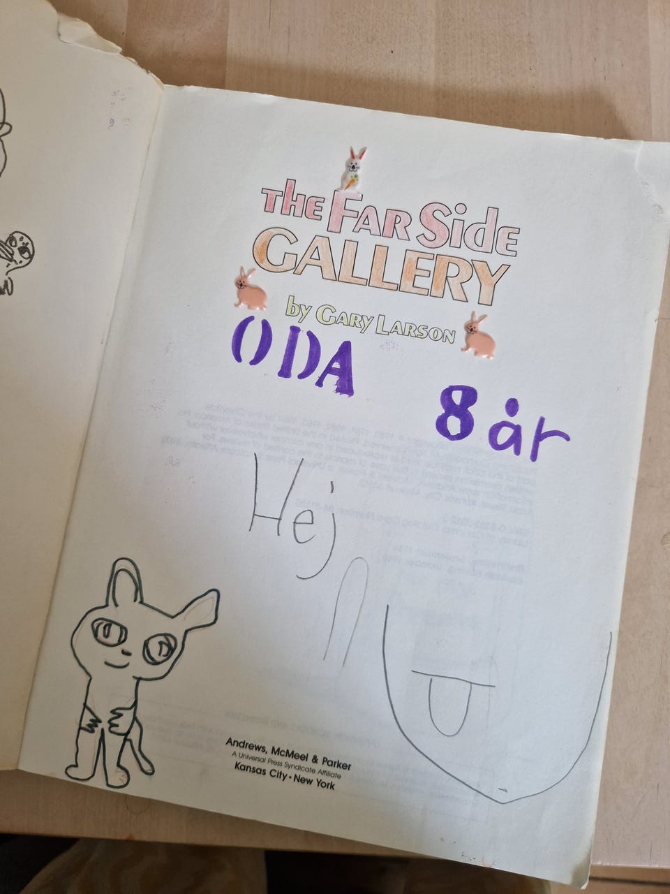 Galleribillede