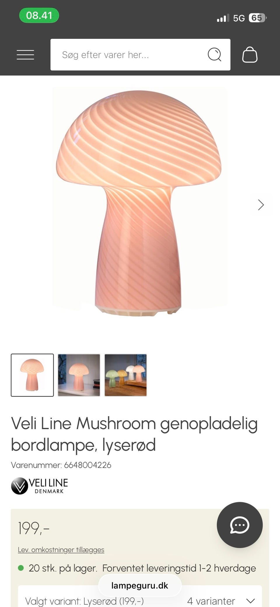 Galleribillede