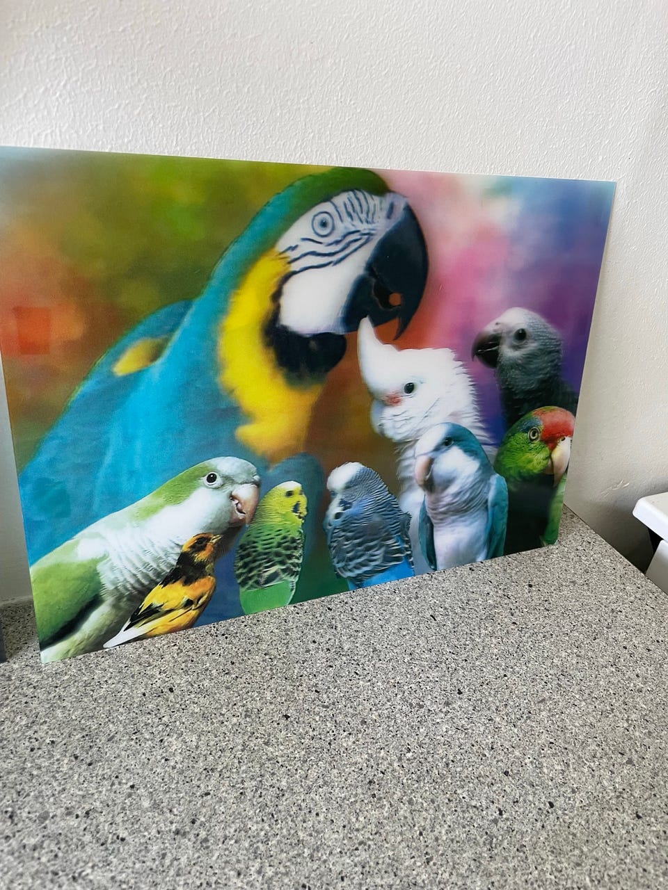 Galleribillede