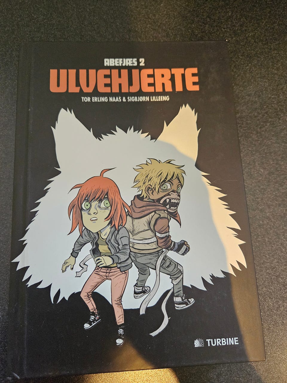 Galleribillede