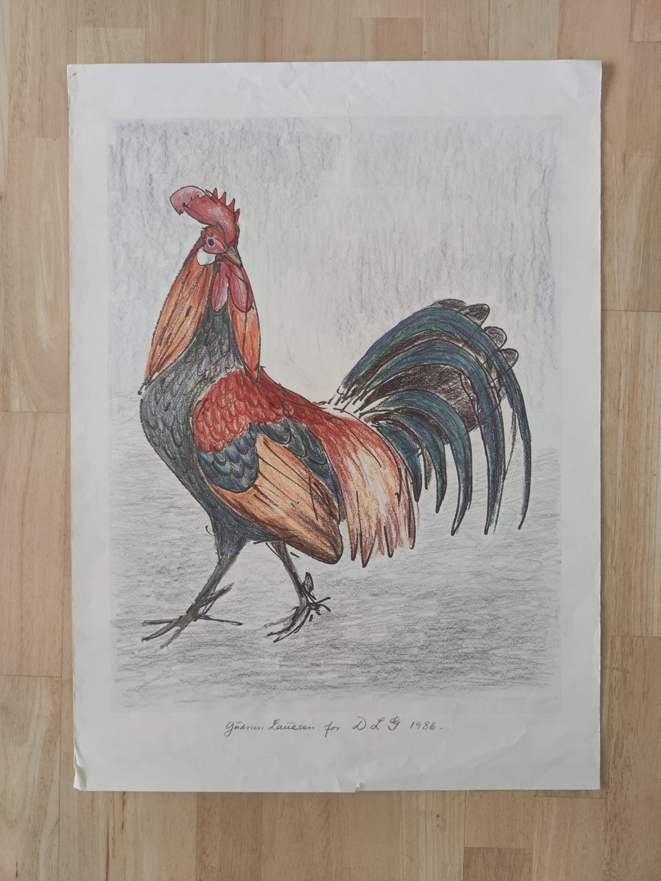 Galleribillede