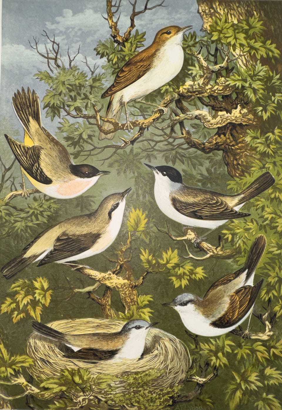 Galleribillede