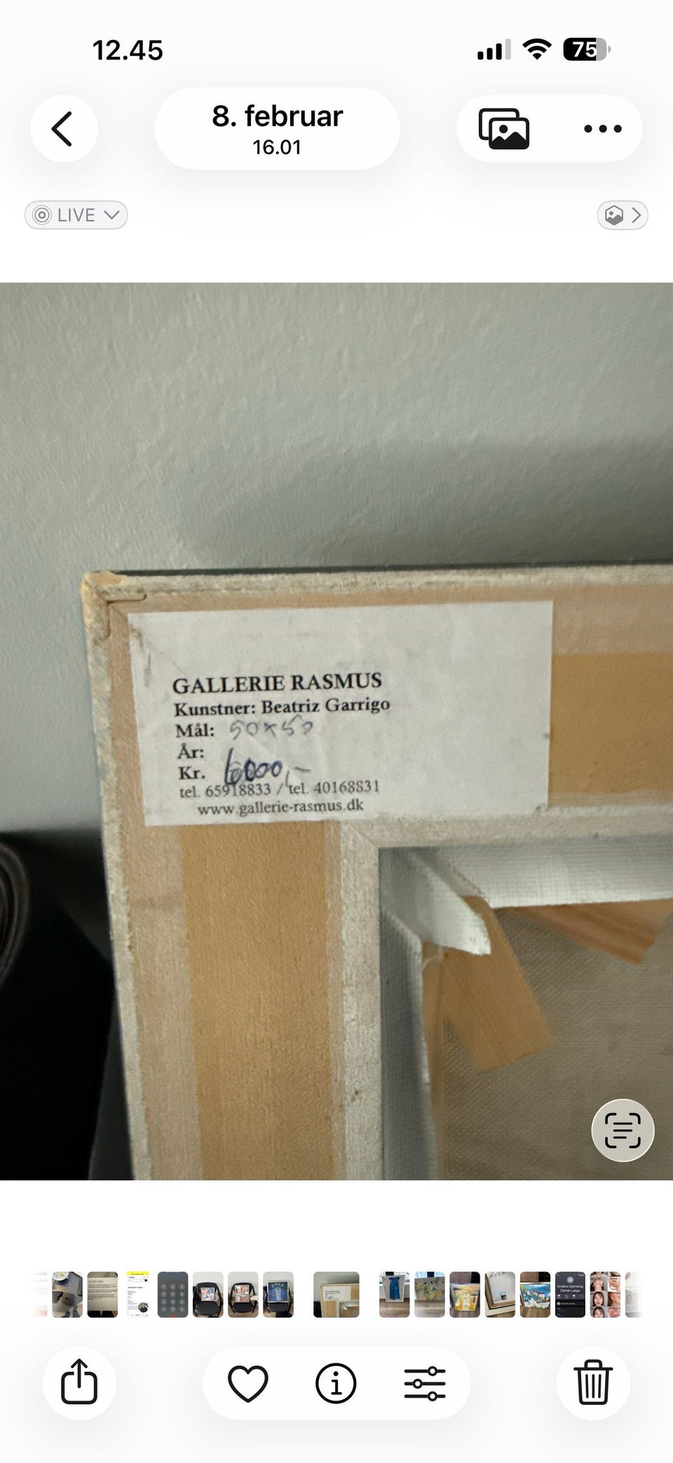 Galleribillede