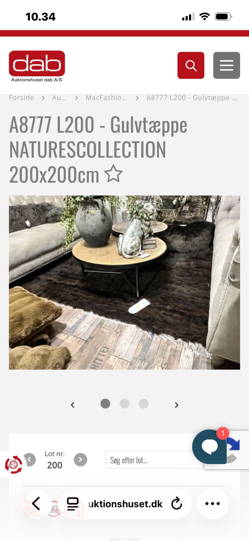 Galleribillede