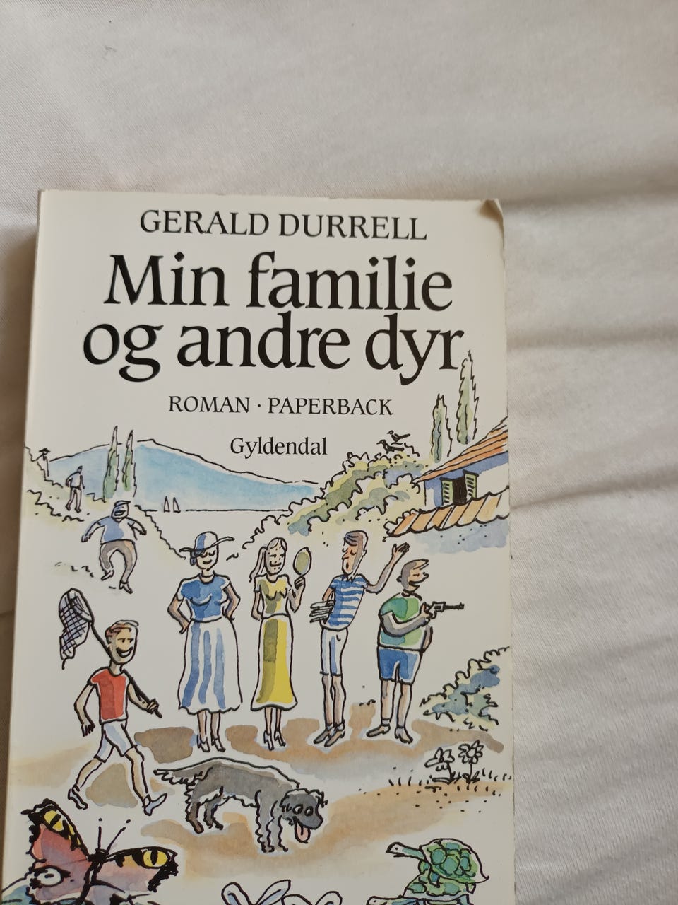 Galleribillede