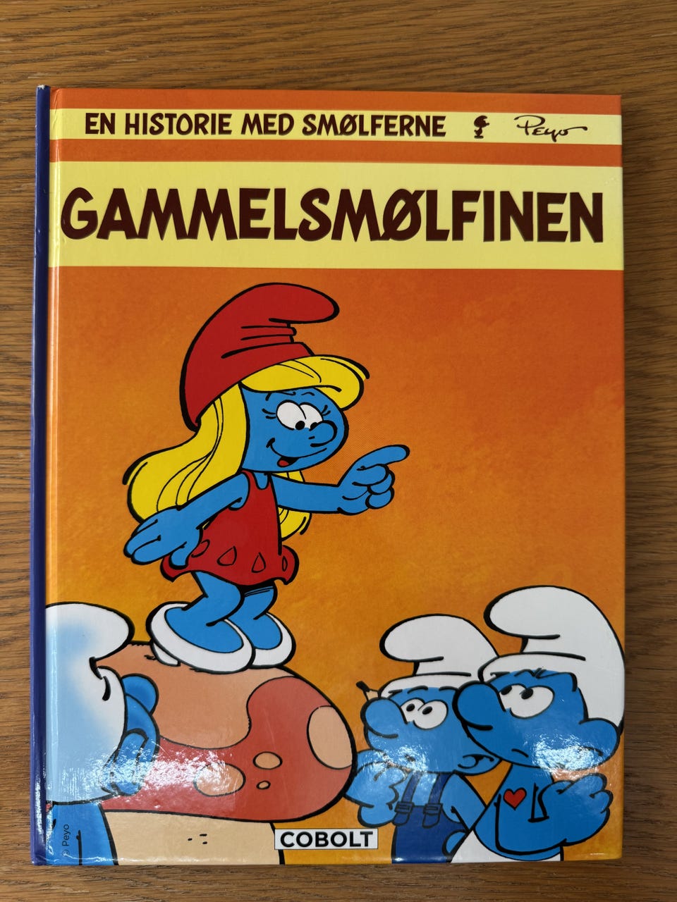 Galleribillede