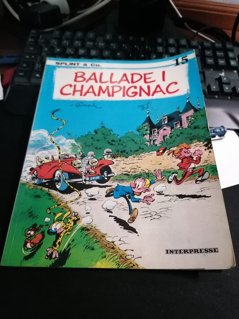 Galleribillede
