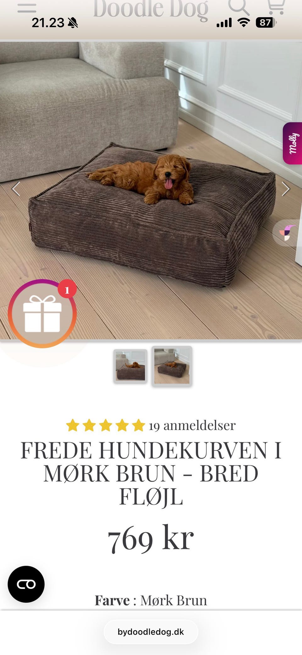 Galleribillede