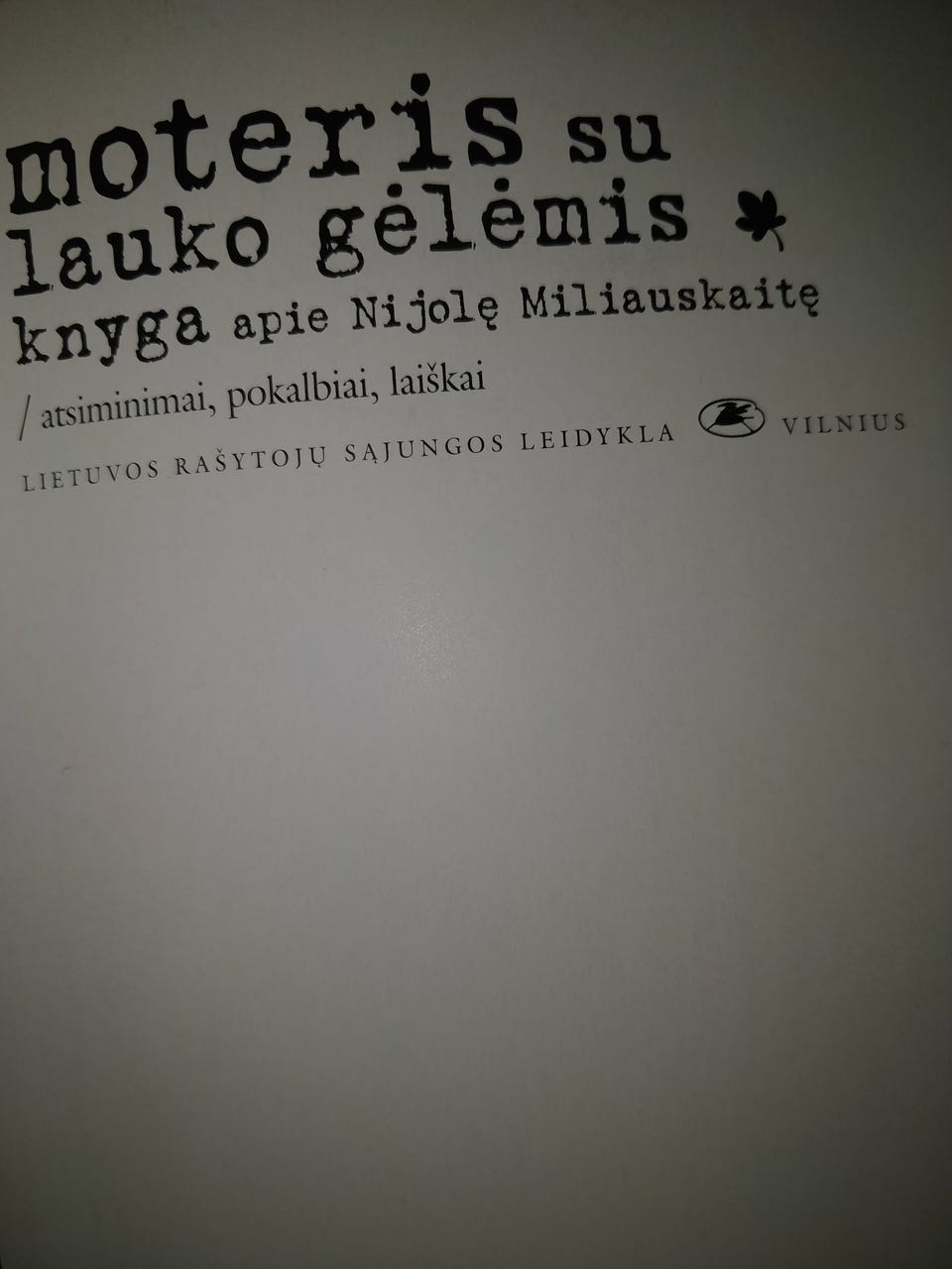 Galleribillede