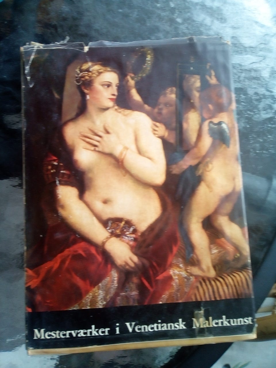 Galleribillede