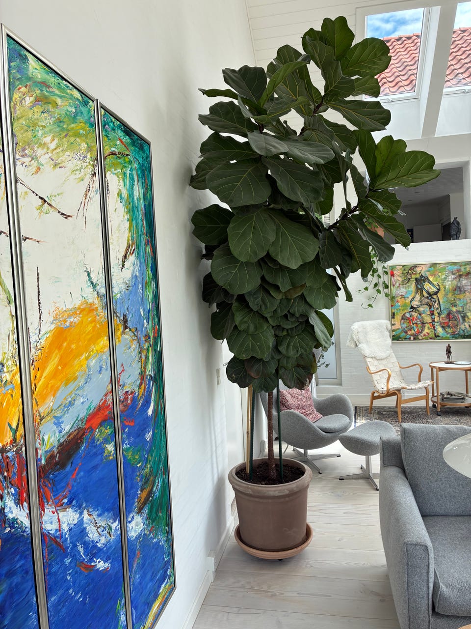 Galleribillede