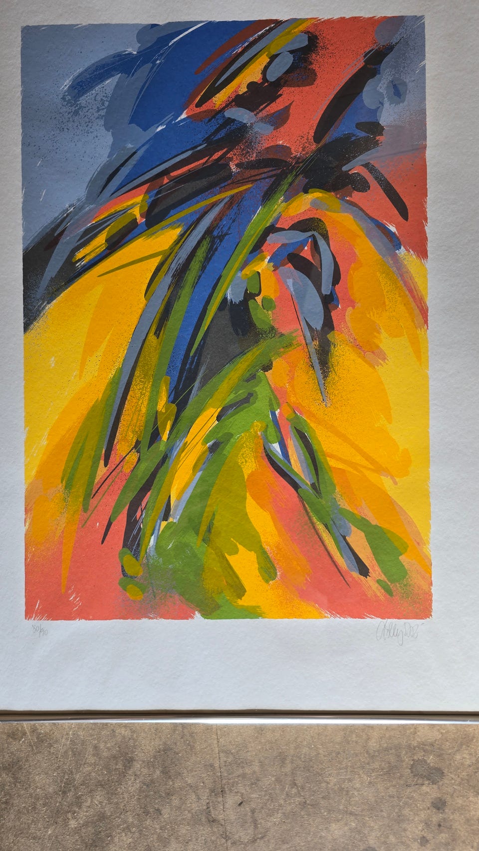 Galleribillede