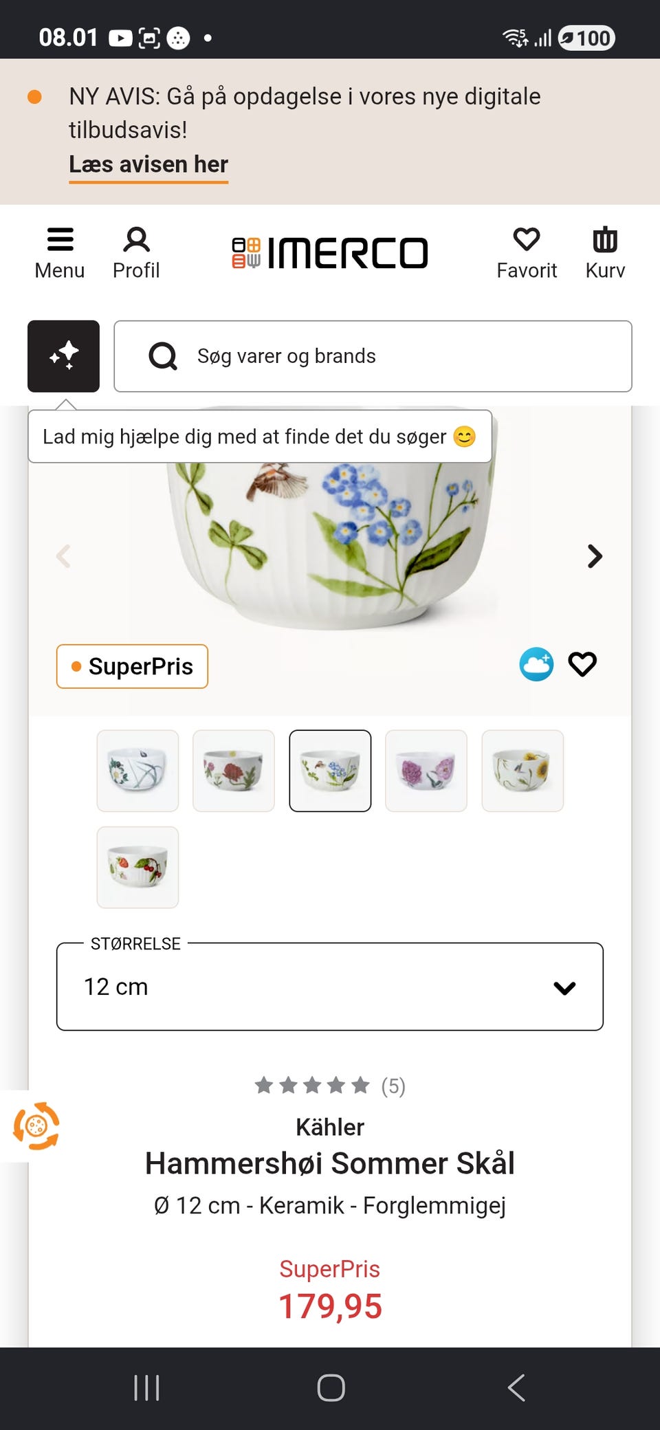 Galleribillede