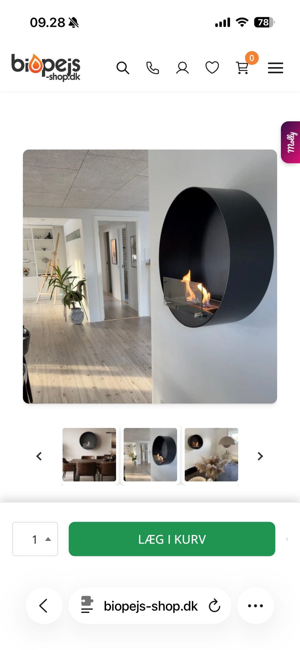 Galleribillede