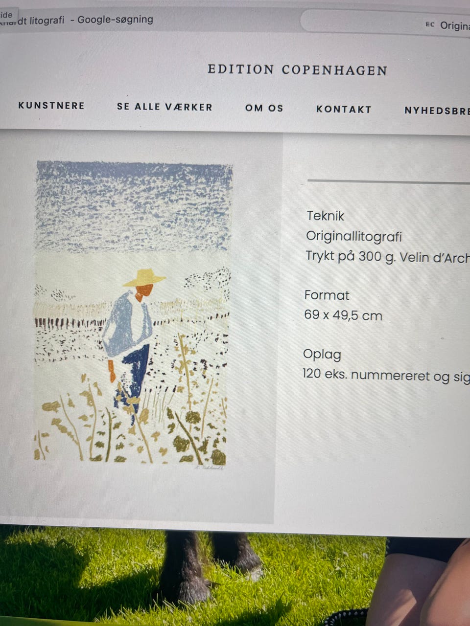 Galleribillede