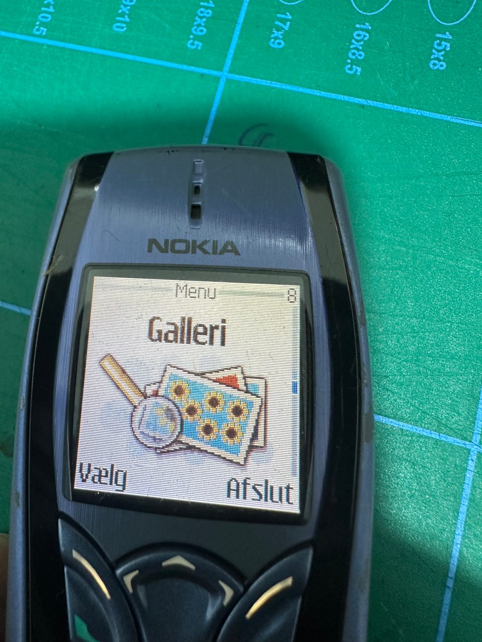 Galleribillede