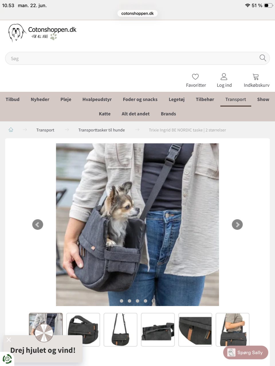 Galleribillede