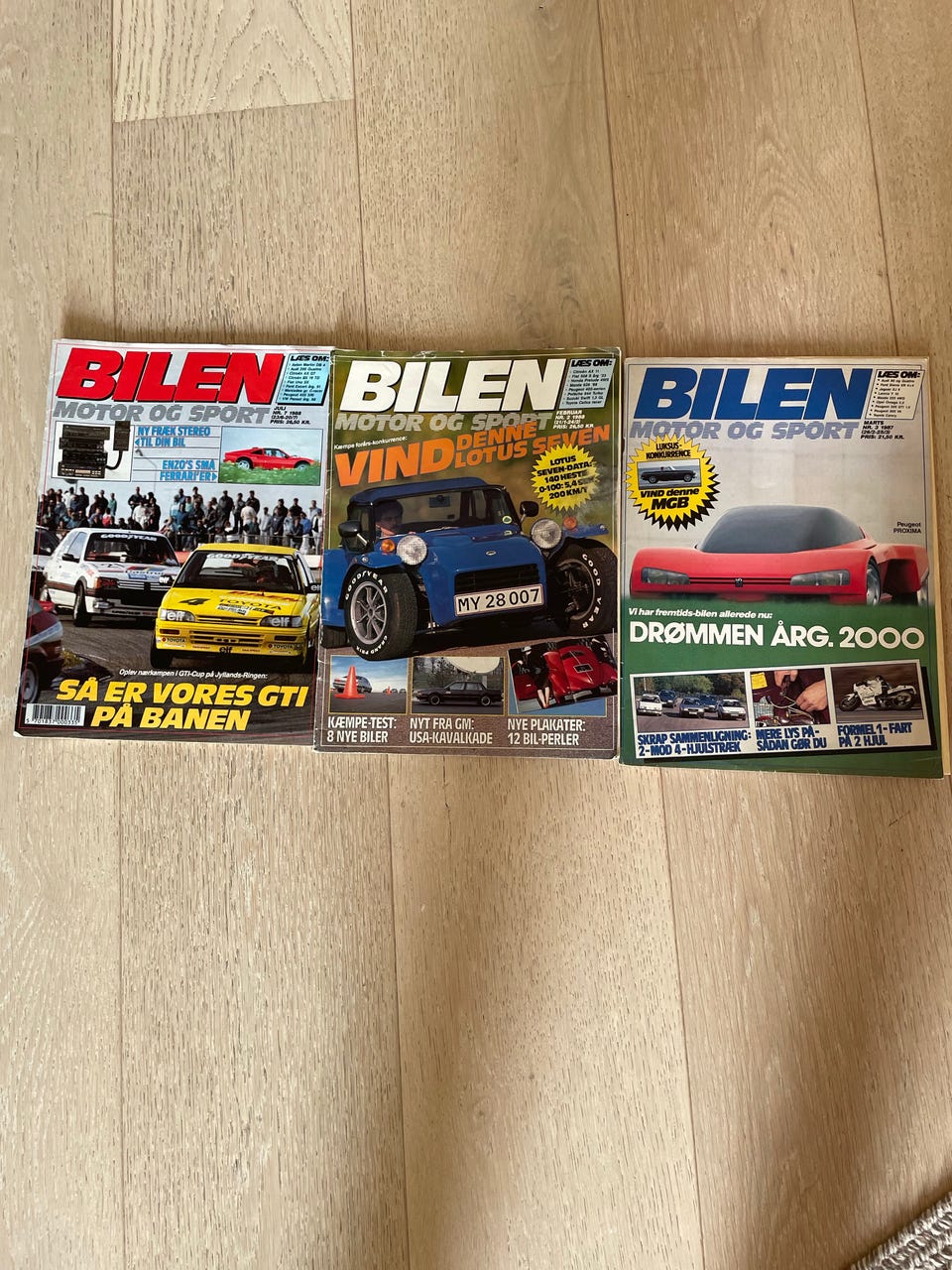 Galleribillede