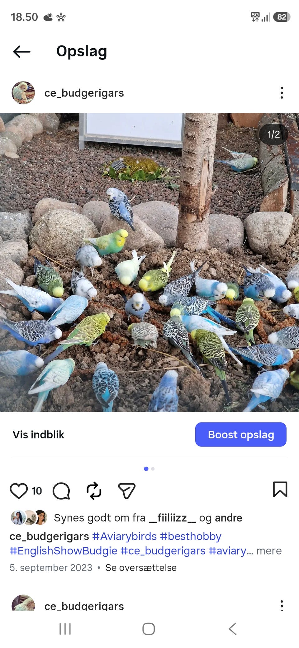Galleribillede
