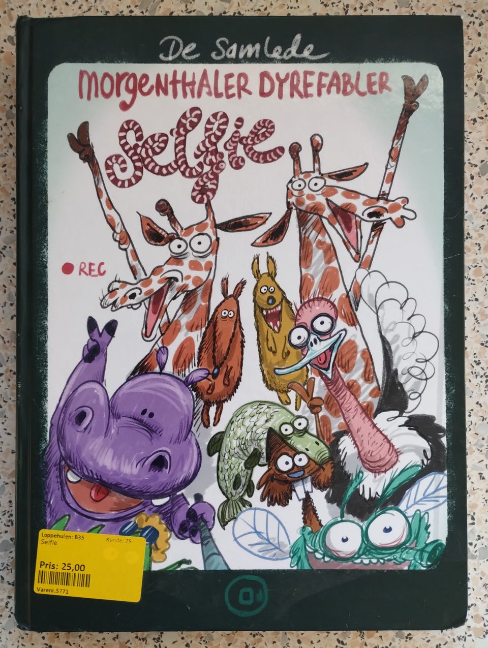 Galleribillede