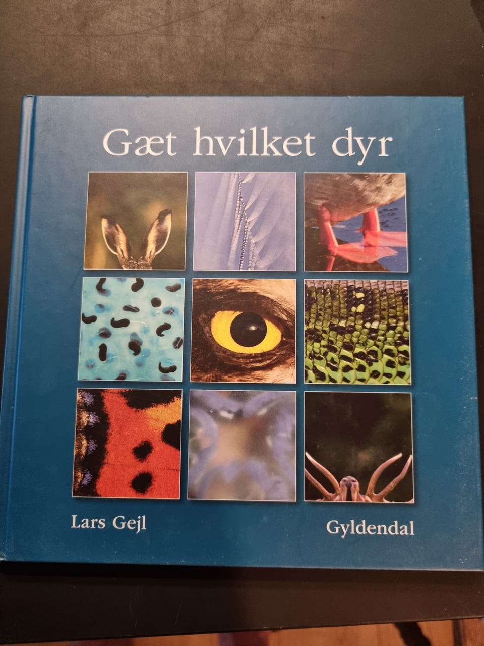 Galleribillede