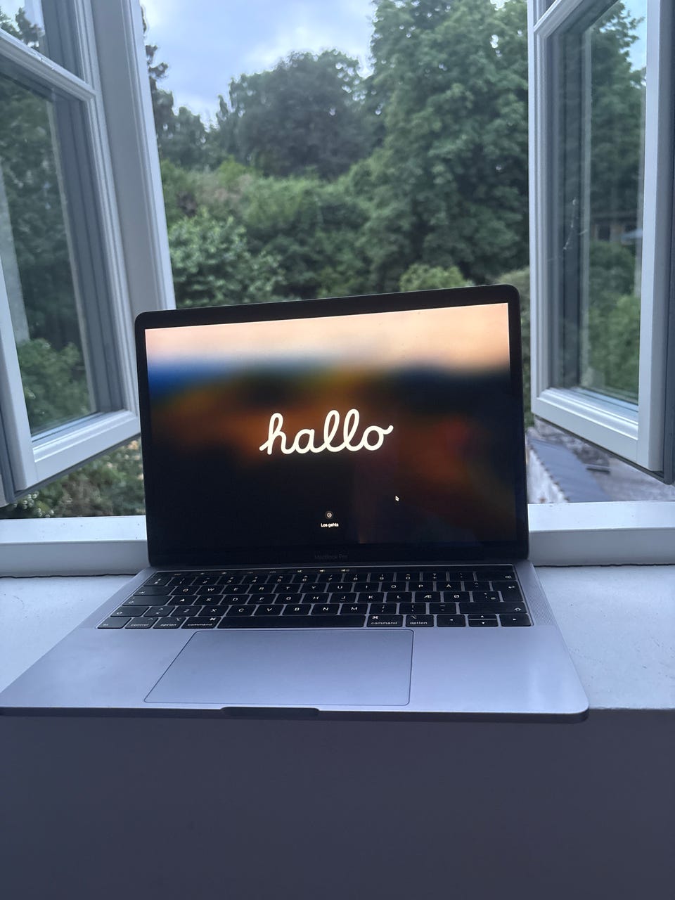 Galleribillede