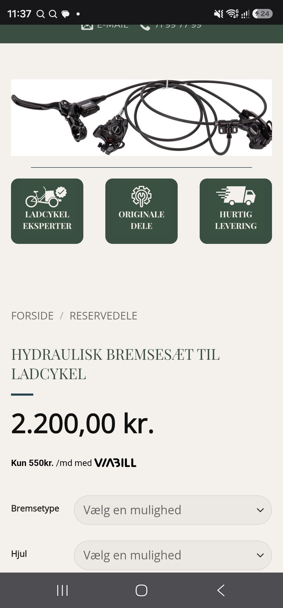 Galleribillede