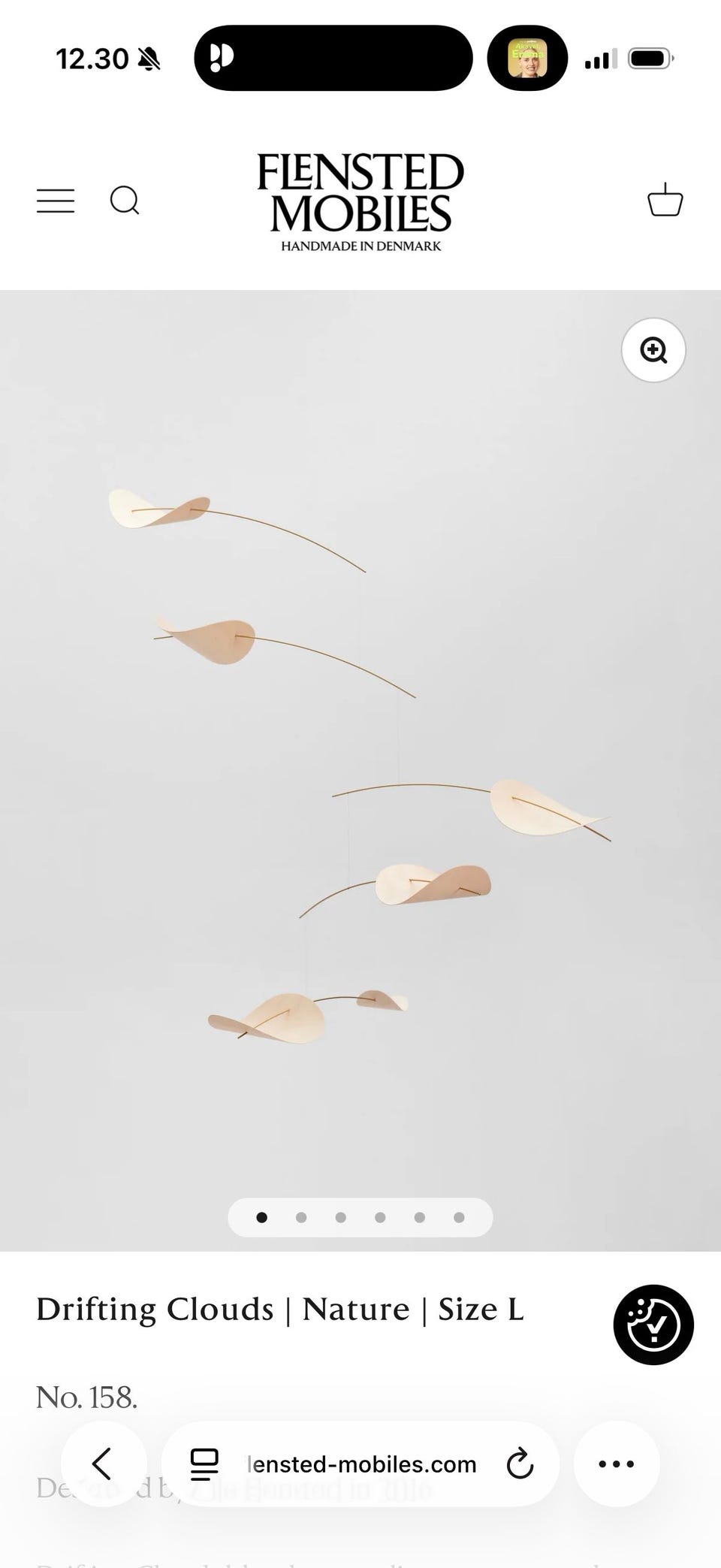 Galleribillede