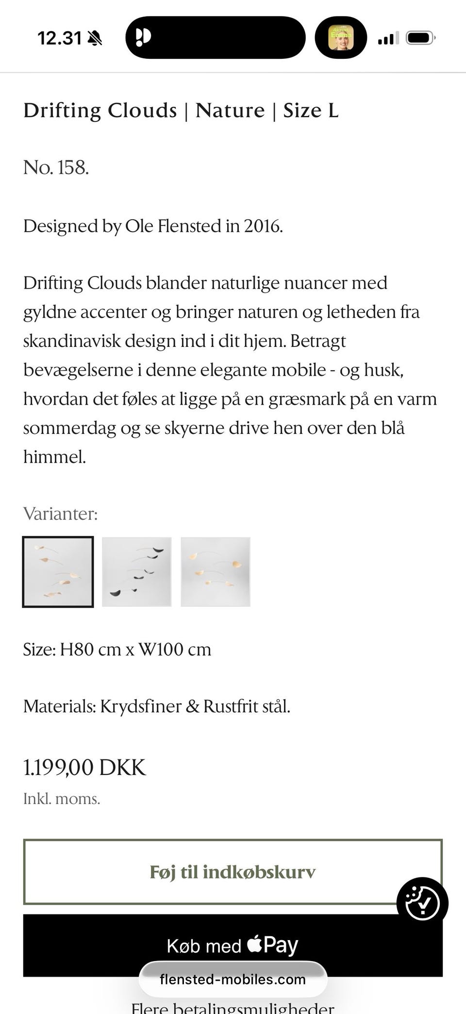 Galleribillede