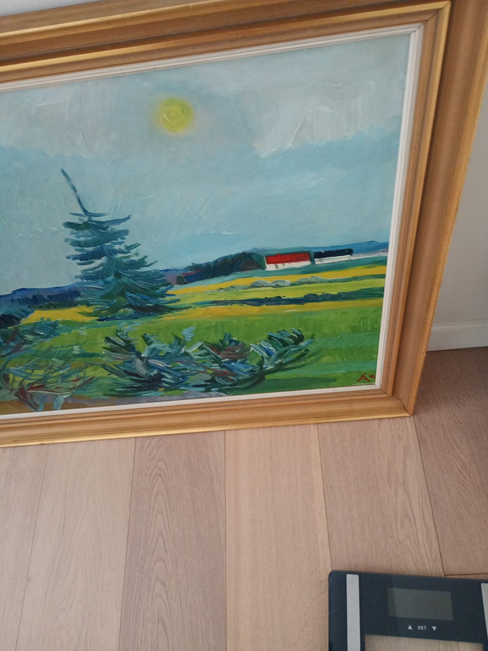 Galleribillede