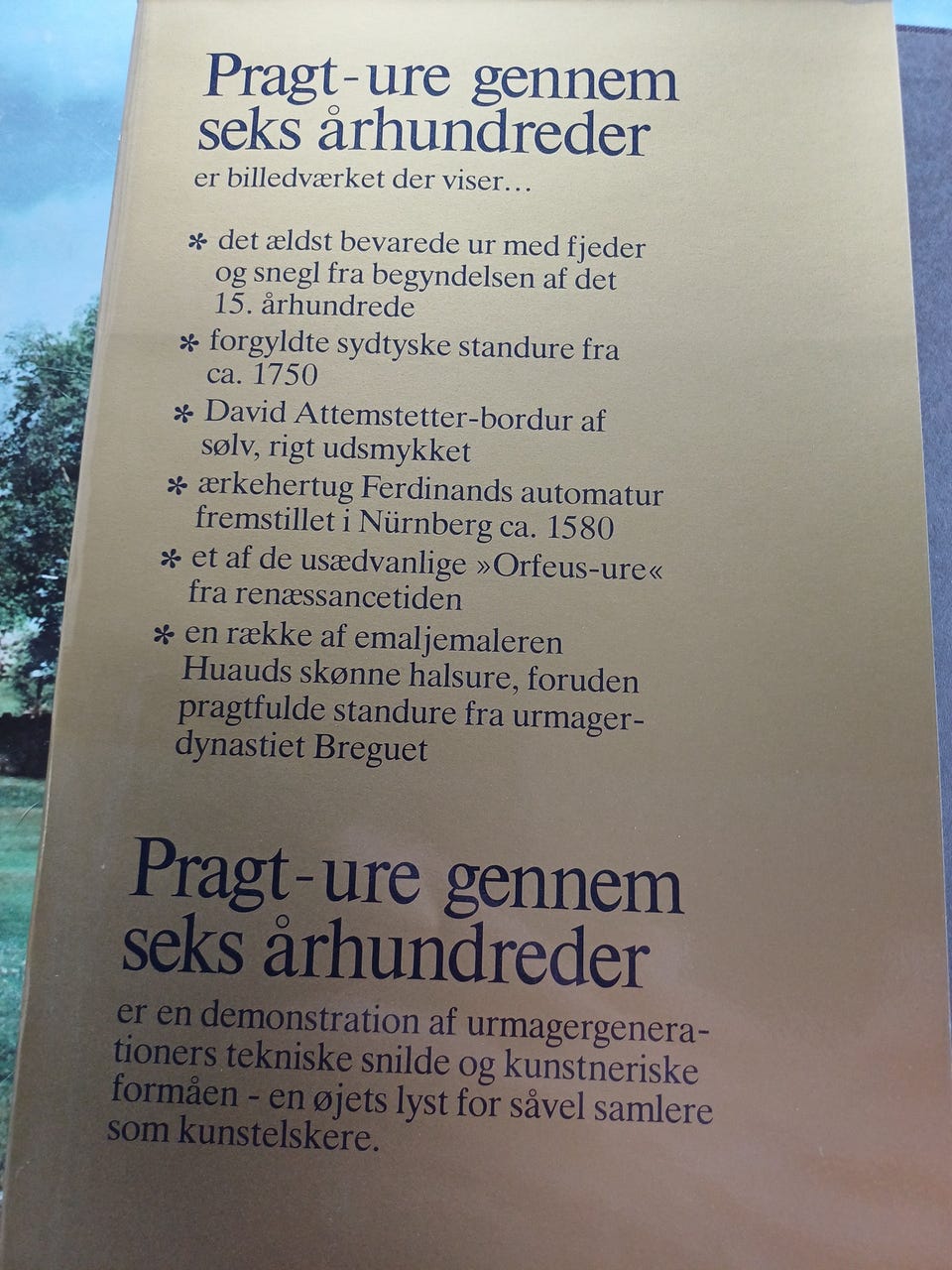 Galleribillede
