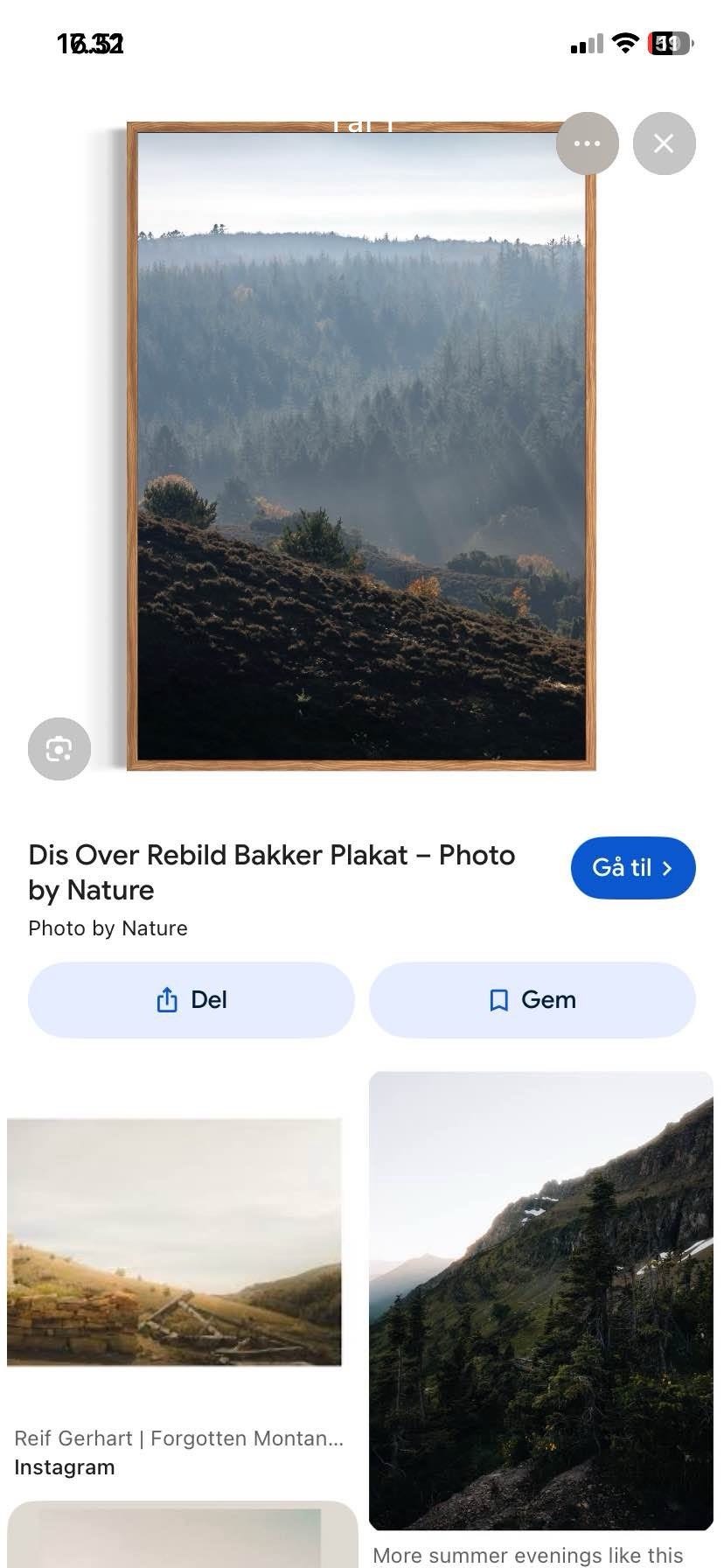 Galleribillede