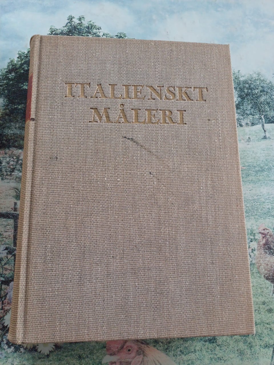 Galleribillede