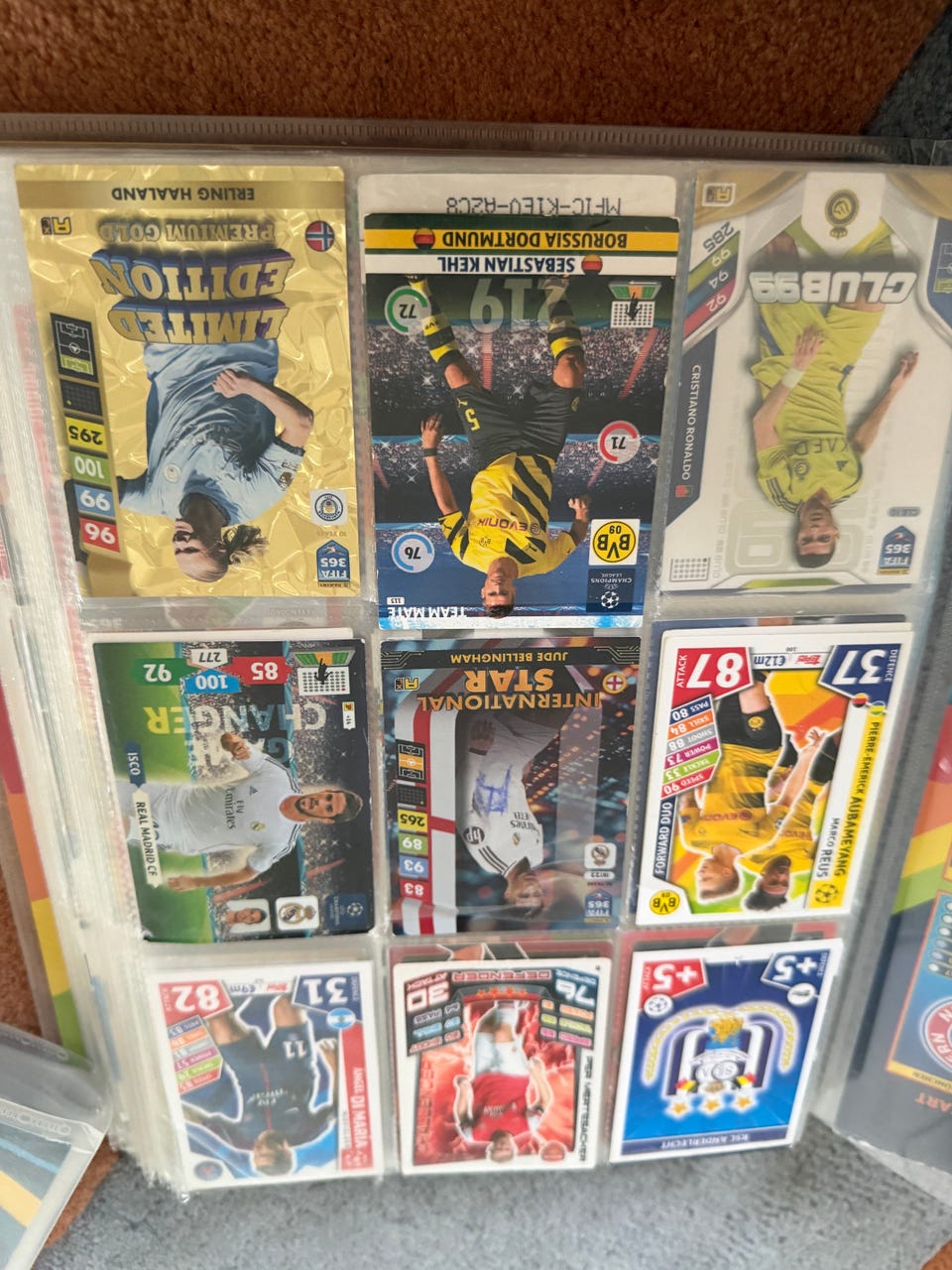 Galleribillede