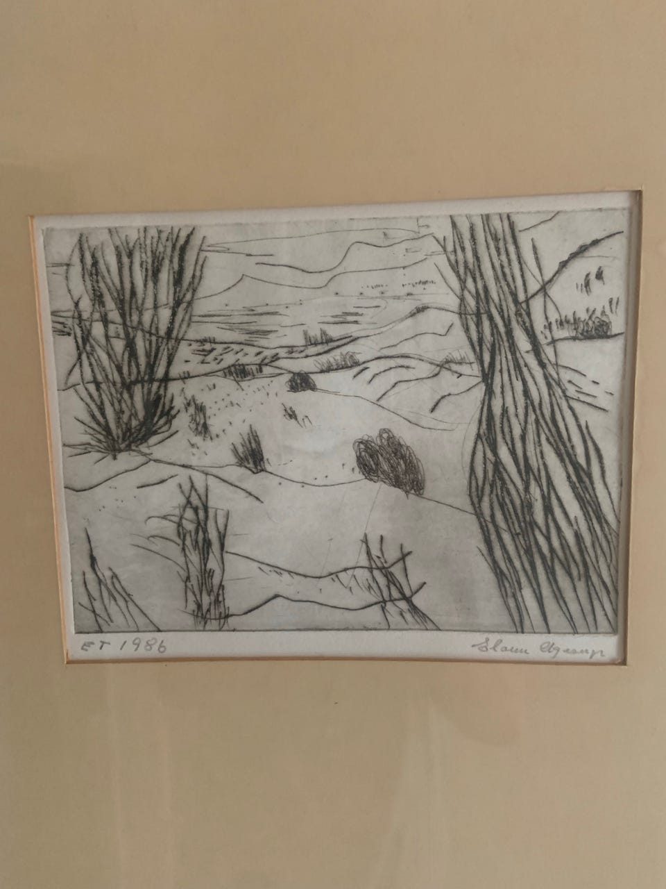 Galleribillede