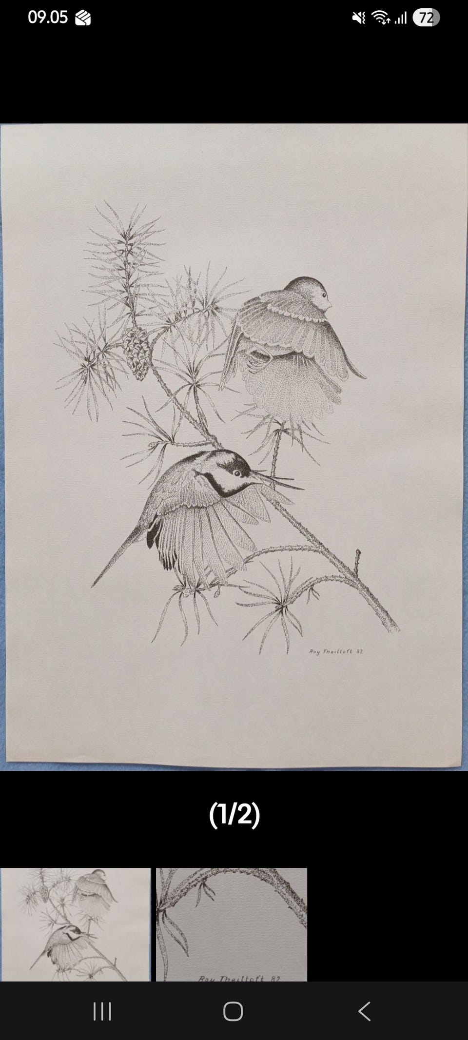 Galleribillede