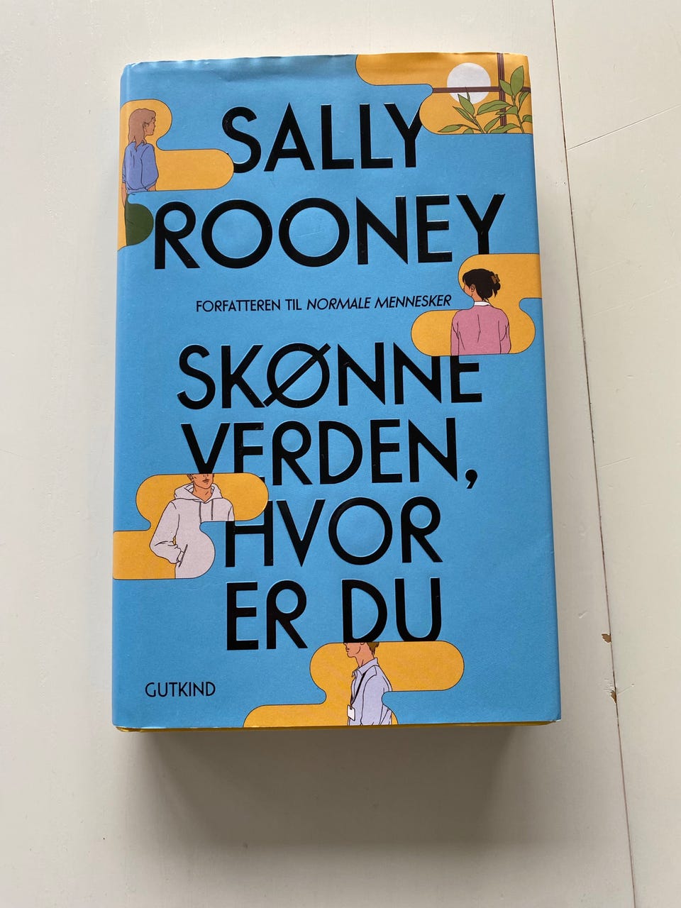 Galleribillede