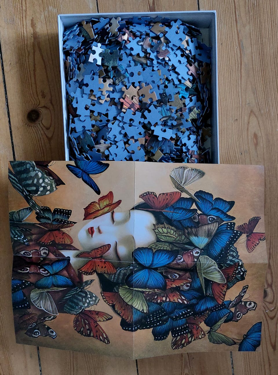 Galleribillede