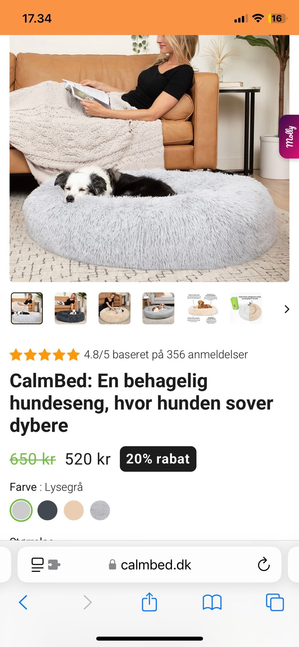 Galleribillede