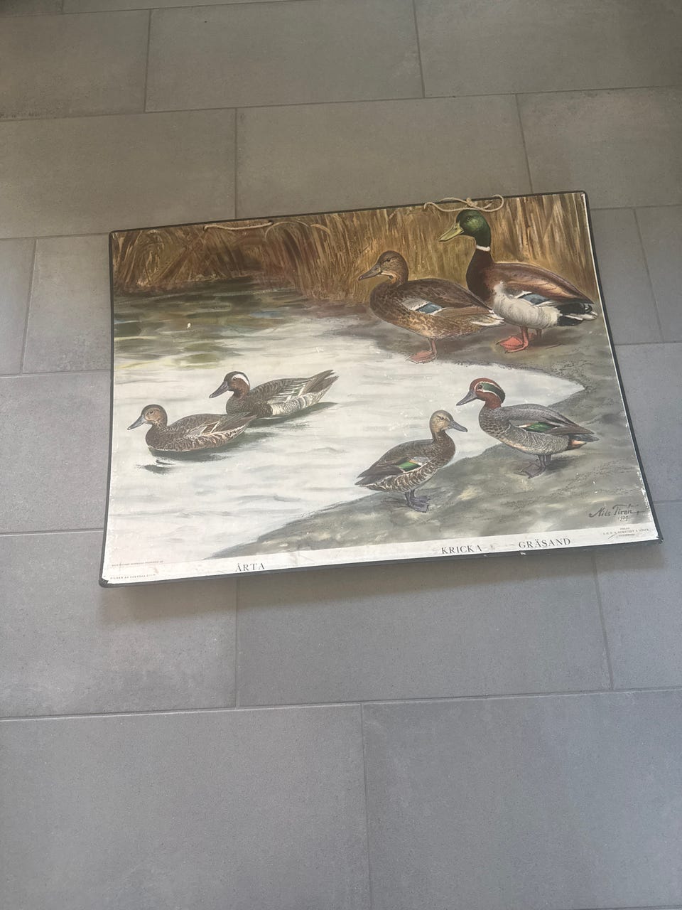 Galleribillede