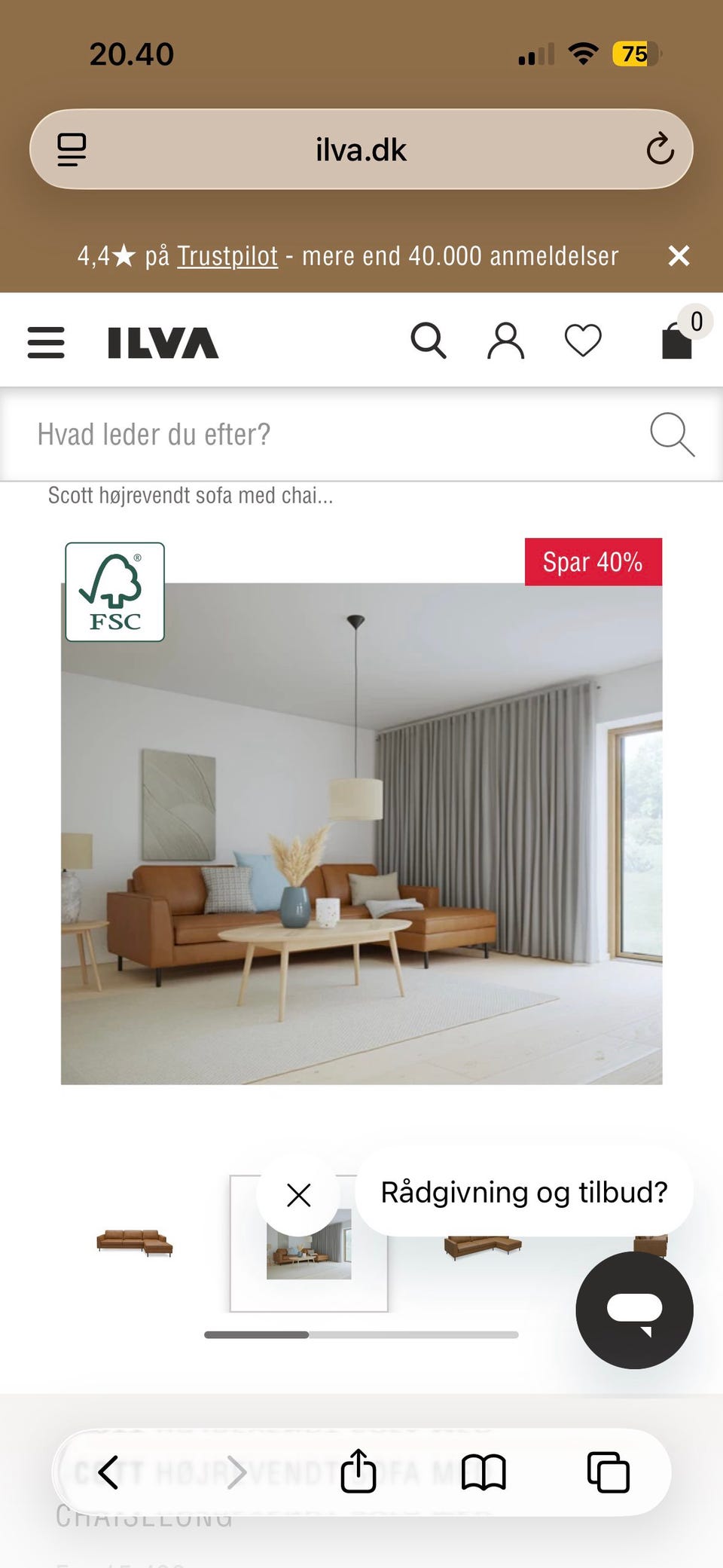 Galleribillede