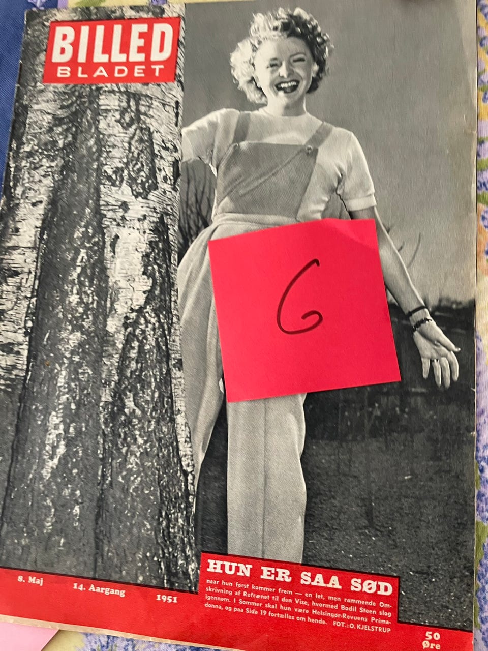 Galleribillede