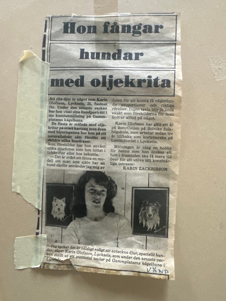 Galleribillede