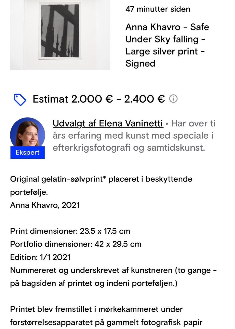 Galleribillede