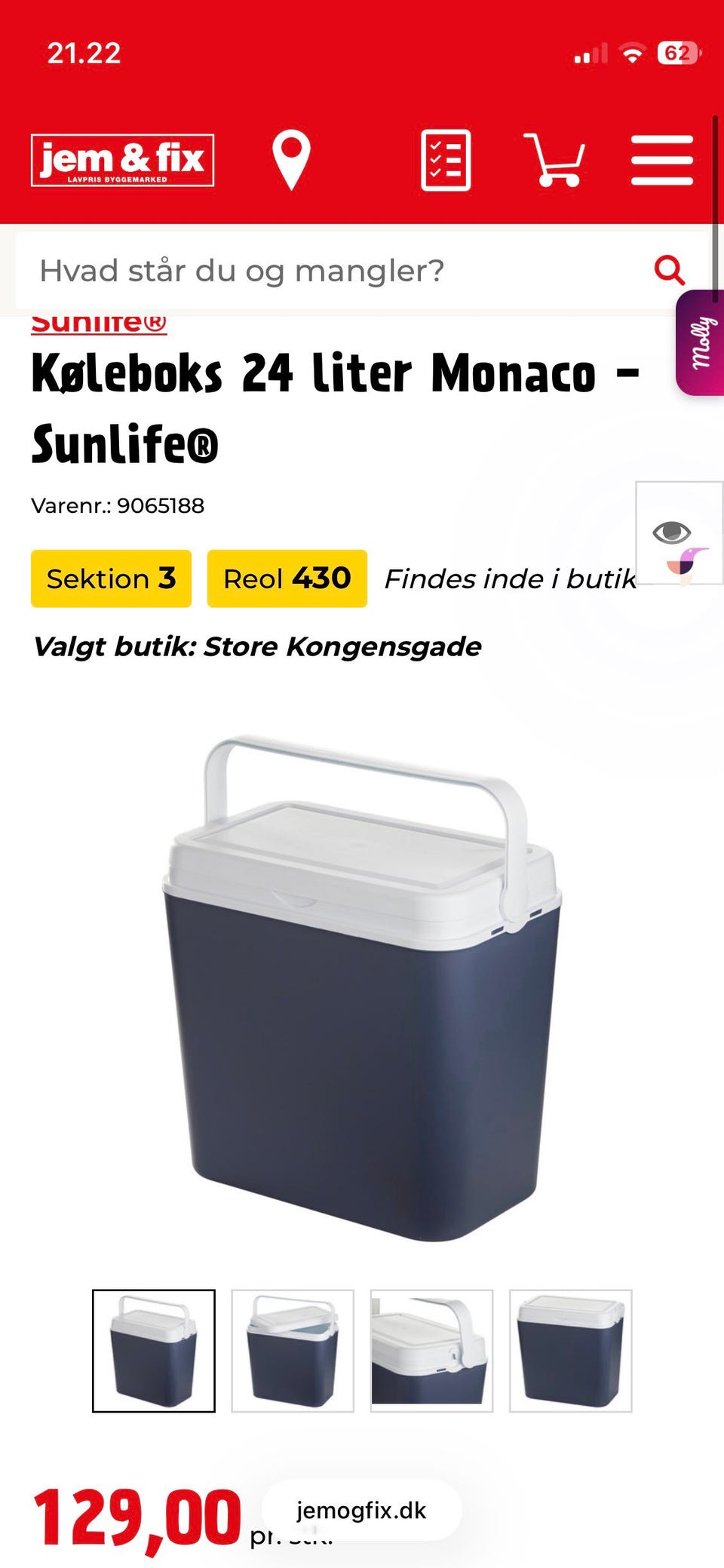Galleribillede