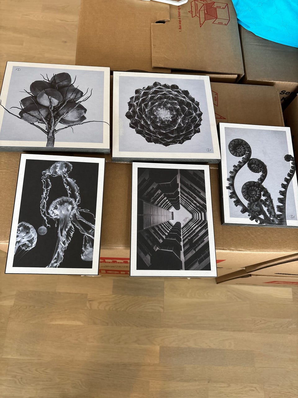 Galleribillede