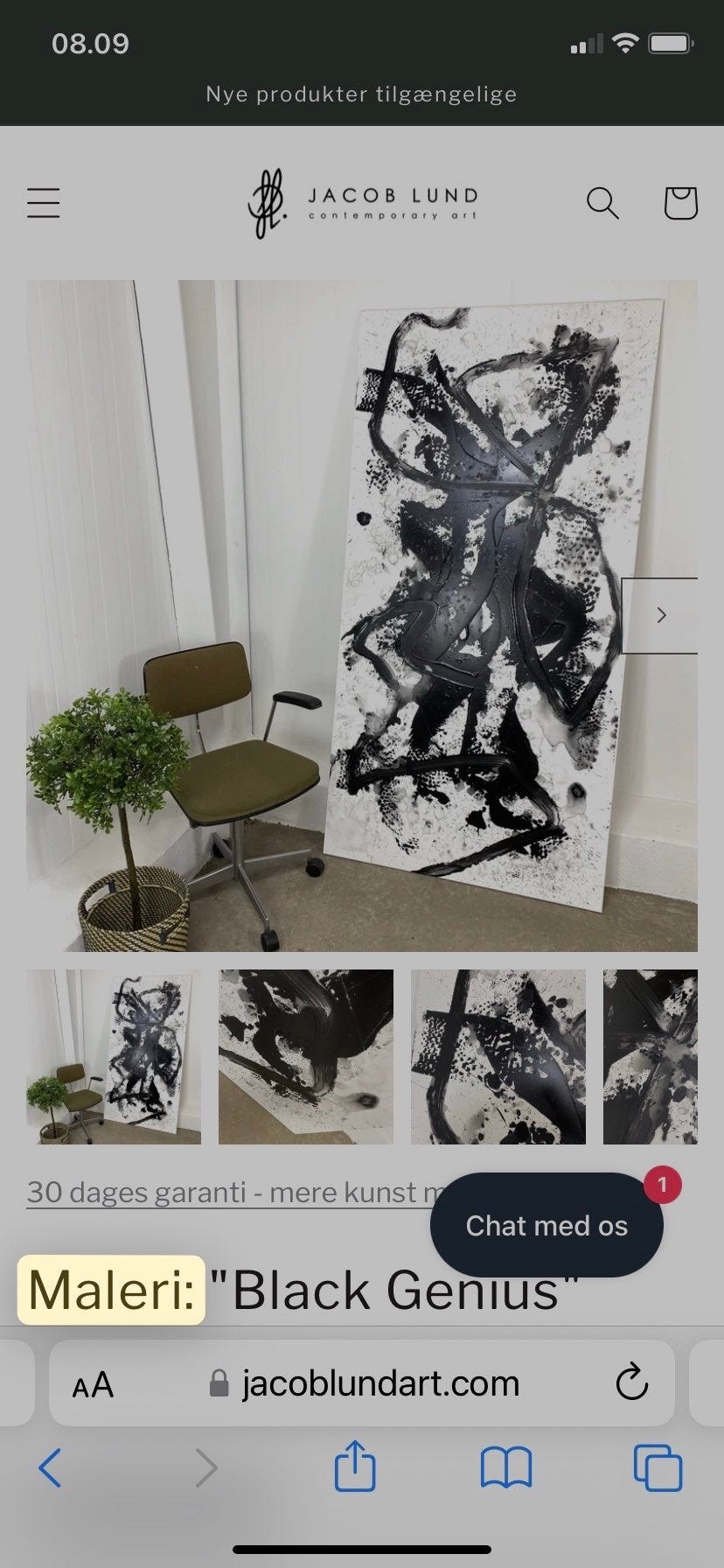 Galleribillede