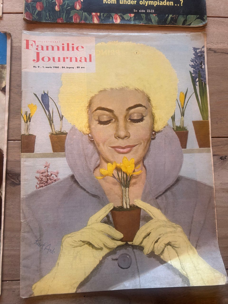 Galleribillede