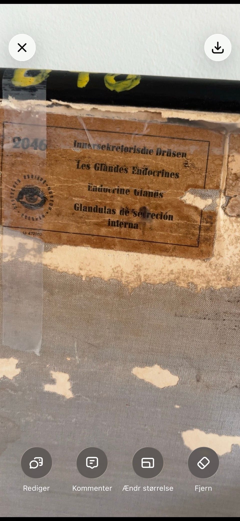 Galleribillede